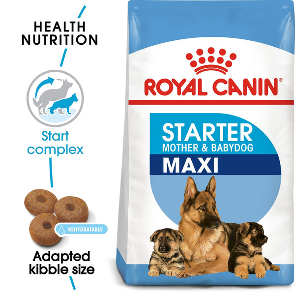 Royal Canin Maxi Starter Mother and Babydog (15 KG) - Dry food for large puppies - Adult weight between 26 and 44 KG. Mother during gestation and lactation - Weaning puppies up to 2 months